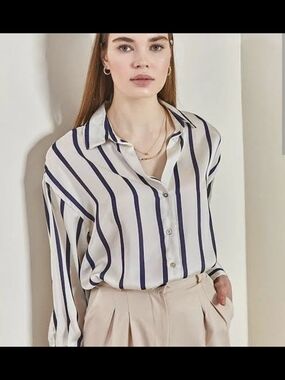 Zara Satin Striped Button-Down Shirt